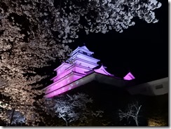 2019年（平成30年）4月18日　夜桜に映える鶴ヶ城　 No,6